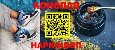 сатива Дубна