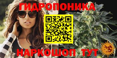 сатива Дубна