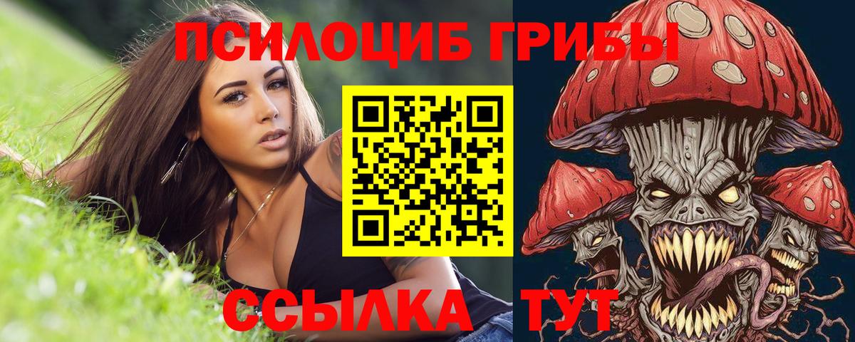 Миллерово  Псилоцибиновые грибы Psilocybe  Вход с VPN 